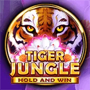 Các biểu tượng và tính năng trong game slot tải game789